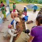 Trung Xuân: Đẩy mạnh thực hiện chương trình xây dựng nông thôn mới